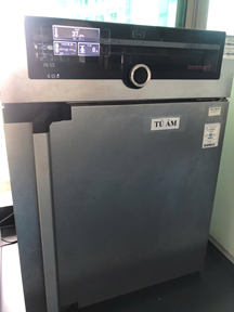 Tủ ủ nuôi cấy vi sinh