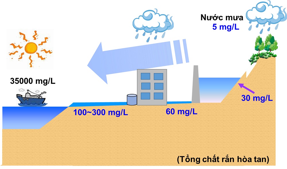 Water quality in natural cycle